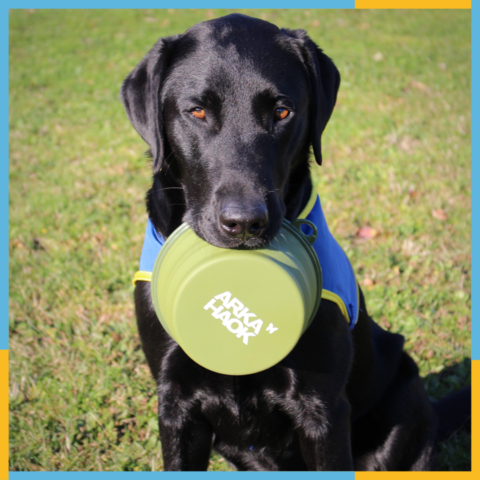 Gamelle de voyage Kaki 1L Silicone