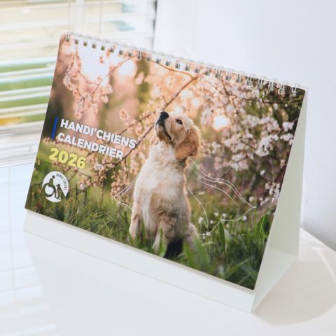 Calendrier chevalet 2026 - Handi'chiens