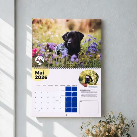 Calendrier mural 2026 - Handi'chiens