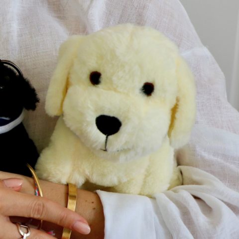 Peluche chien beige