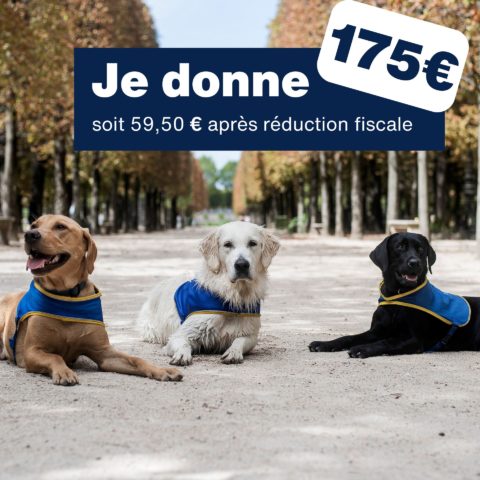 Don de 175 euros