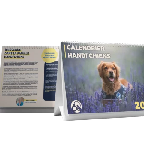 Calendrier chevalet 2027 - Handi'chiens