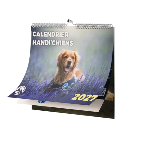 Calendrier mural 2027 - Handi'chiens