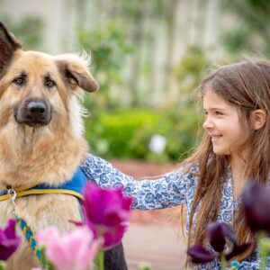 Collection Handi'Chiens